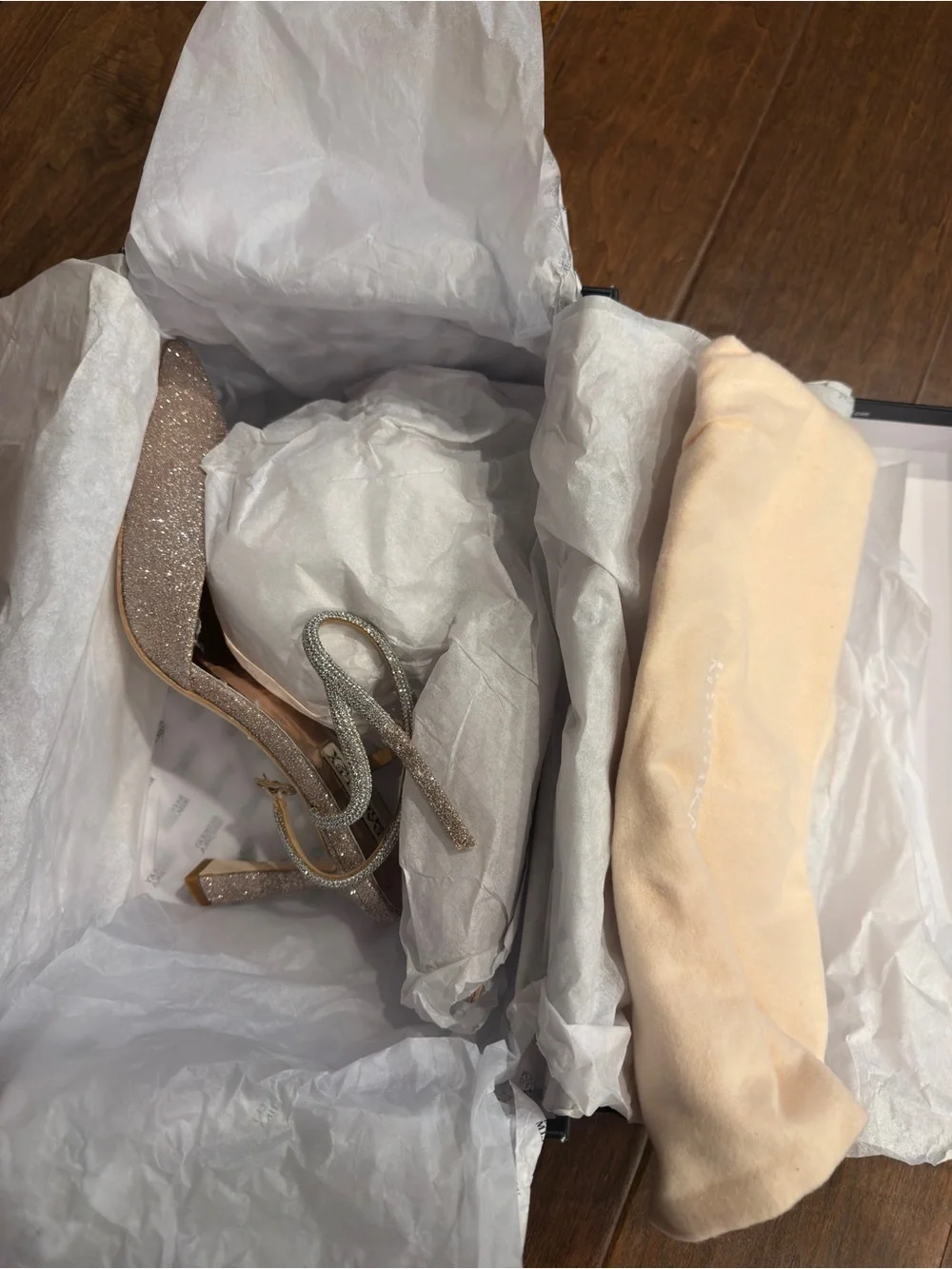 Badgley Mischka Women's Sparkle Ankle Strap Pump in Champagne